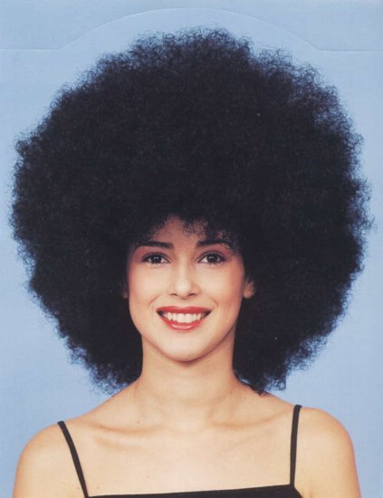 Very Cool Afro  Wig