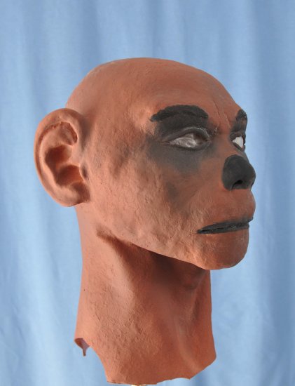 Apeman Foam Latex Mask