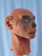 Apeman Foam Latex Mask