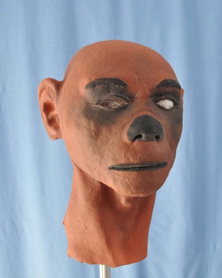 Apeman Foam Latex Mask