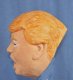 Donald Trump Foam Latex Halloween Mask!