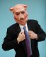 Mr Pigguy Foam Latex Mask