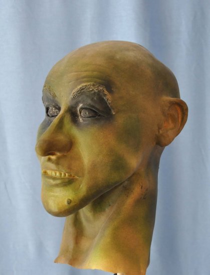 Wicked Witch Foam Latex Mask